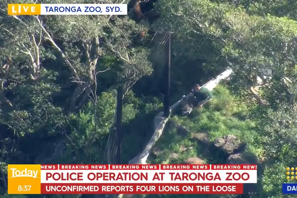 taronga zoo
