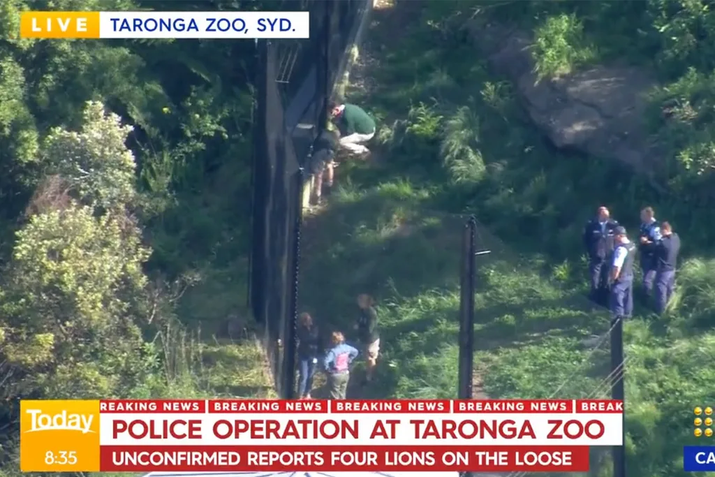 taronga zoo