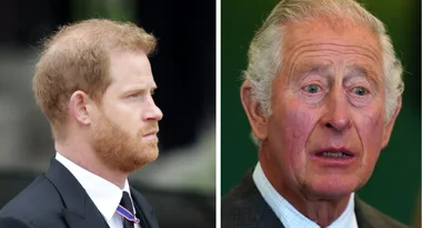Prince Harry’s DNA shock