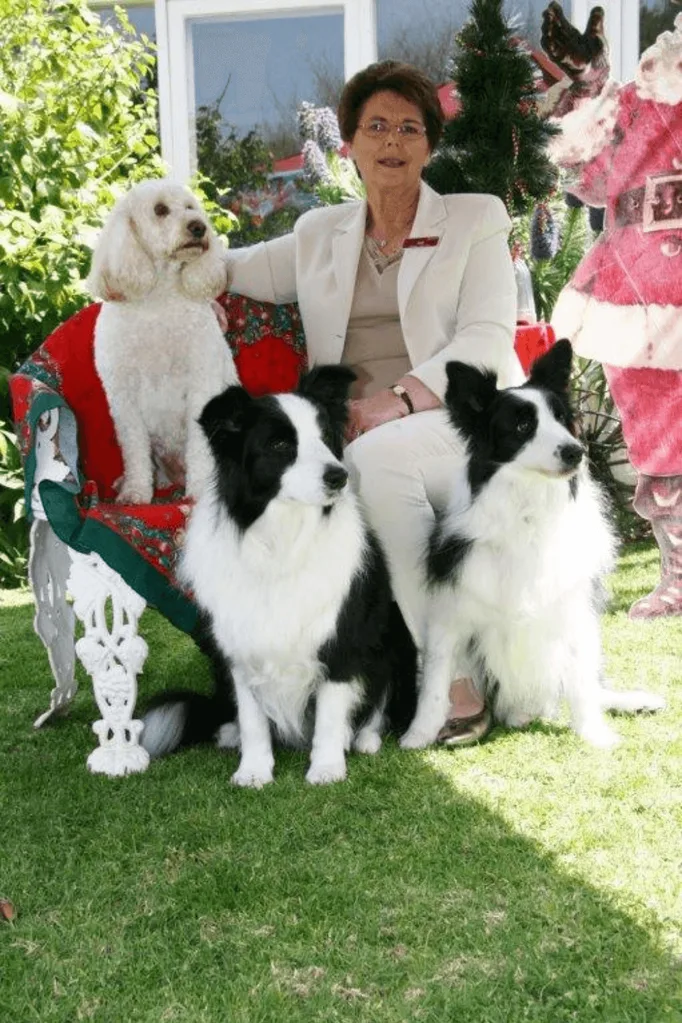 Nan and her dogs