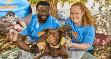 Help these animals find their forever home