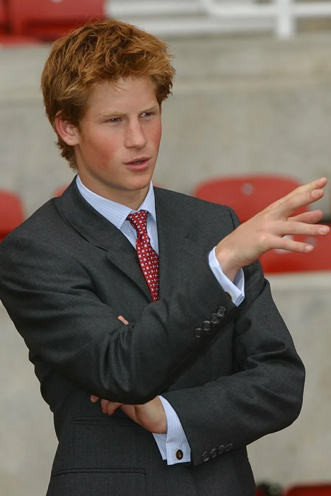 prince harry