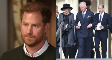 Prince Harry interview