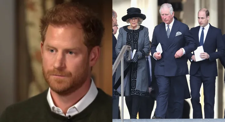 Prince Harry interview