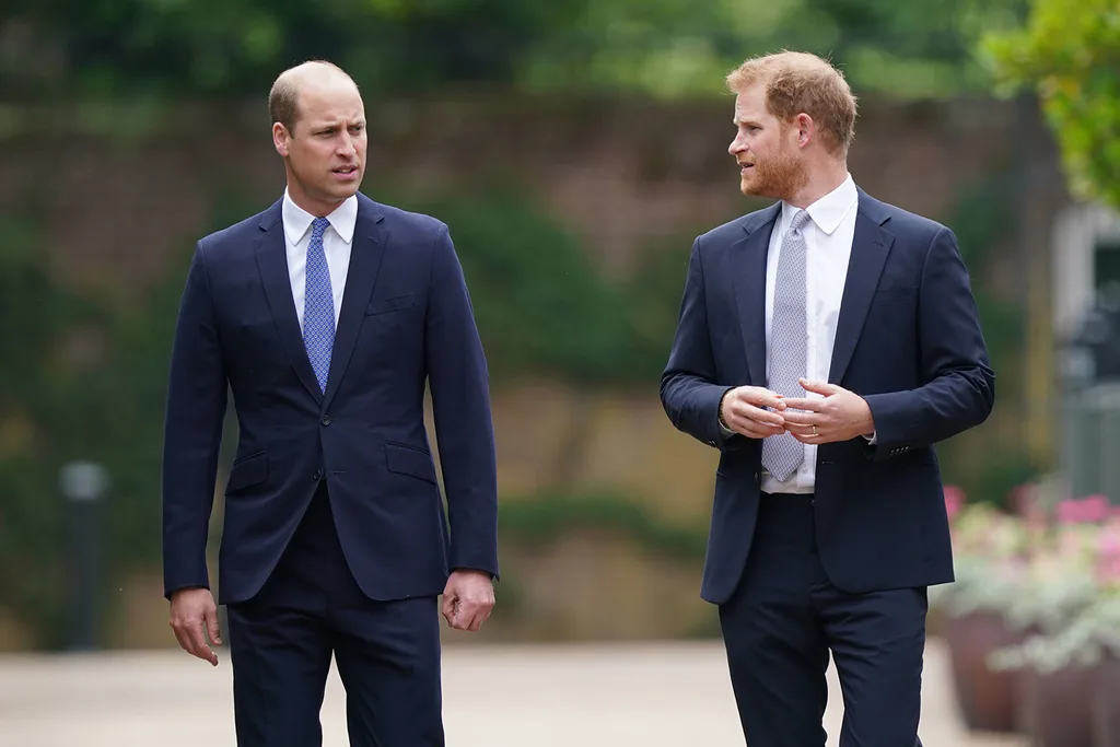 prince william prince harry