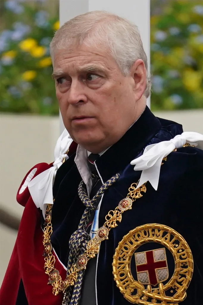andrew