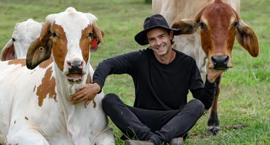 “Cuddling cows changed my life”: How these gentle giants are bringing comfort to those in need