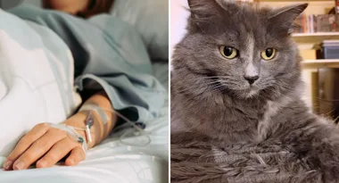 ‘My cat saved my life!’: This cat saved their owner from a health emergency