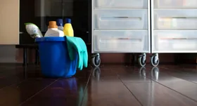 EXPERT ADVICE: The chemical free cleaning swaps you can make in your home