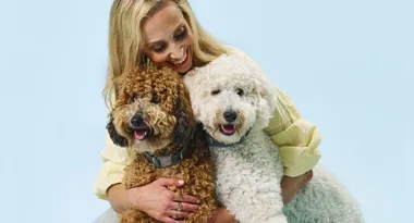 EXPERT ADVICE: How to choose a rescue animal that’s right for you and your family