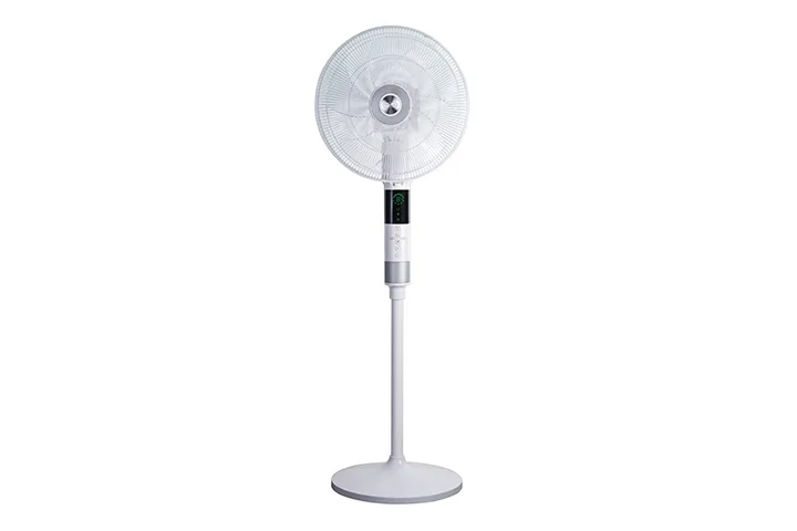 Delonghi Pedestal Fan