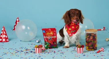 It’s paw-ty time! Allen’s launch dog shaped lollies