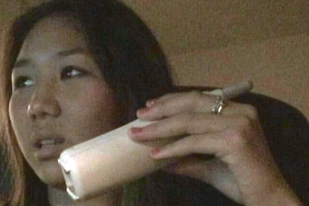 rachel lee bling ring