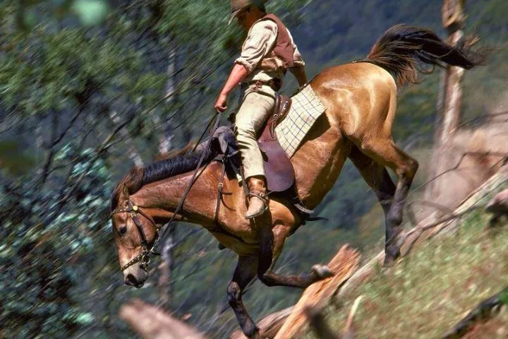 man-from-snowy-river-jim-craig