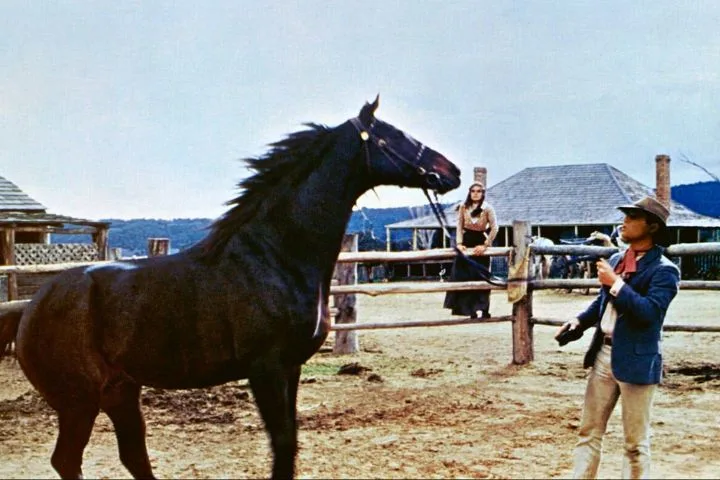 the-man-from-snowy-river