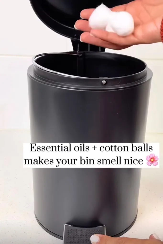 bathroom-cleaning-hacks-how-to-make-your-bathroom-smell-nice