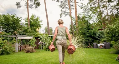 EXPERT ADVICE: How to keep your plants healthy all year long