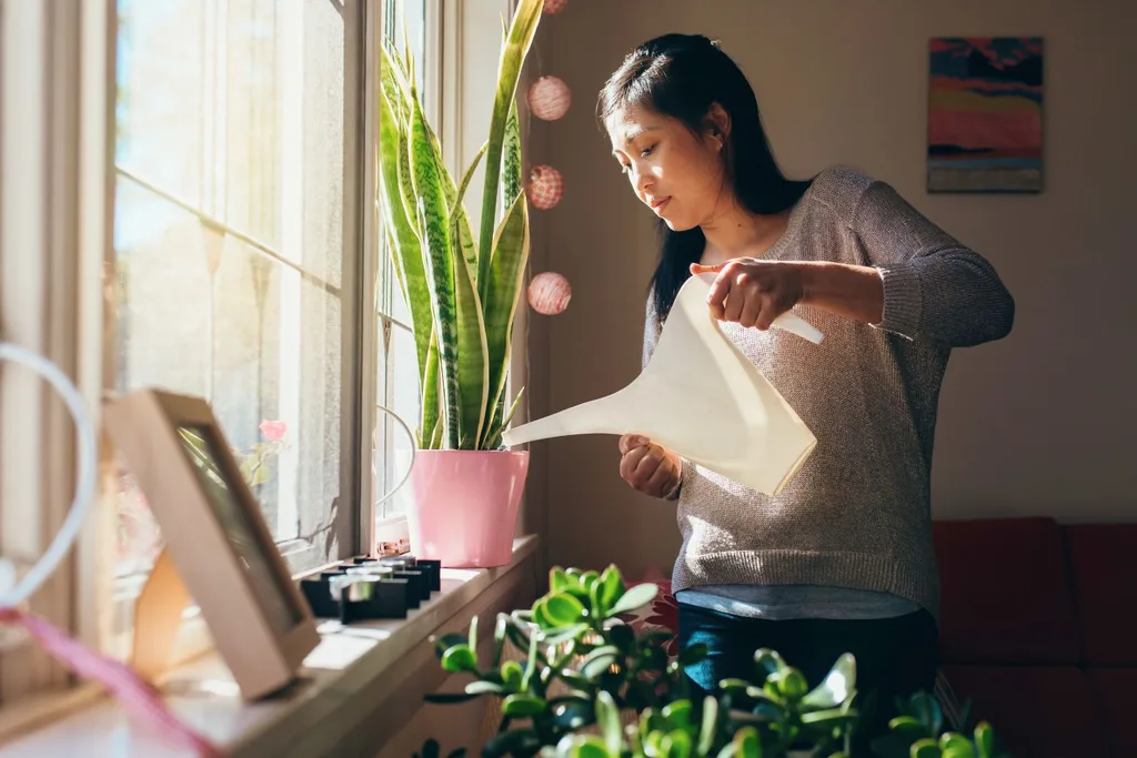 how-to-keep-your-plants-healthy