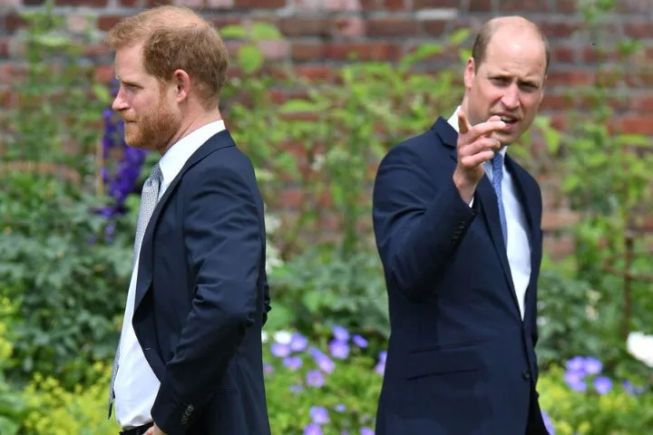 prince-harry-william