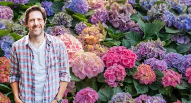 EXPERT ADVICE: The best plants to grow if you suffer from allergies