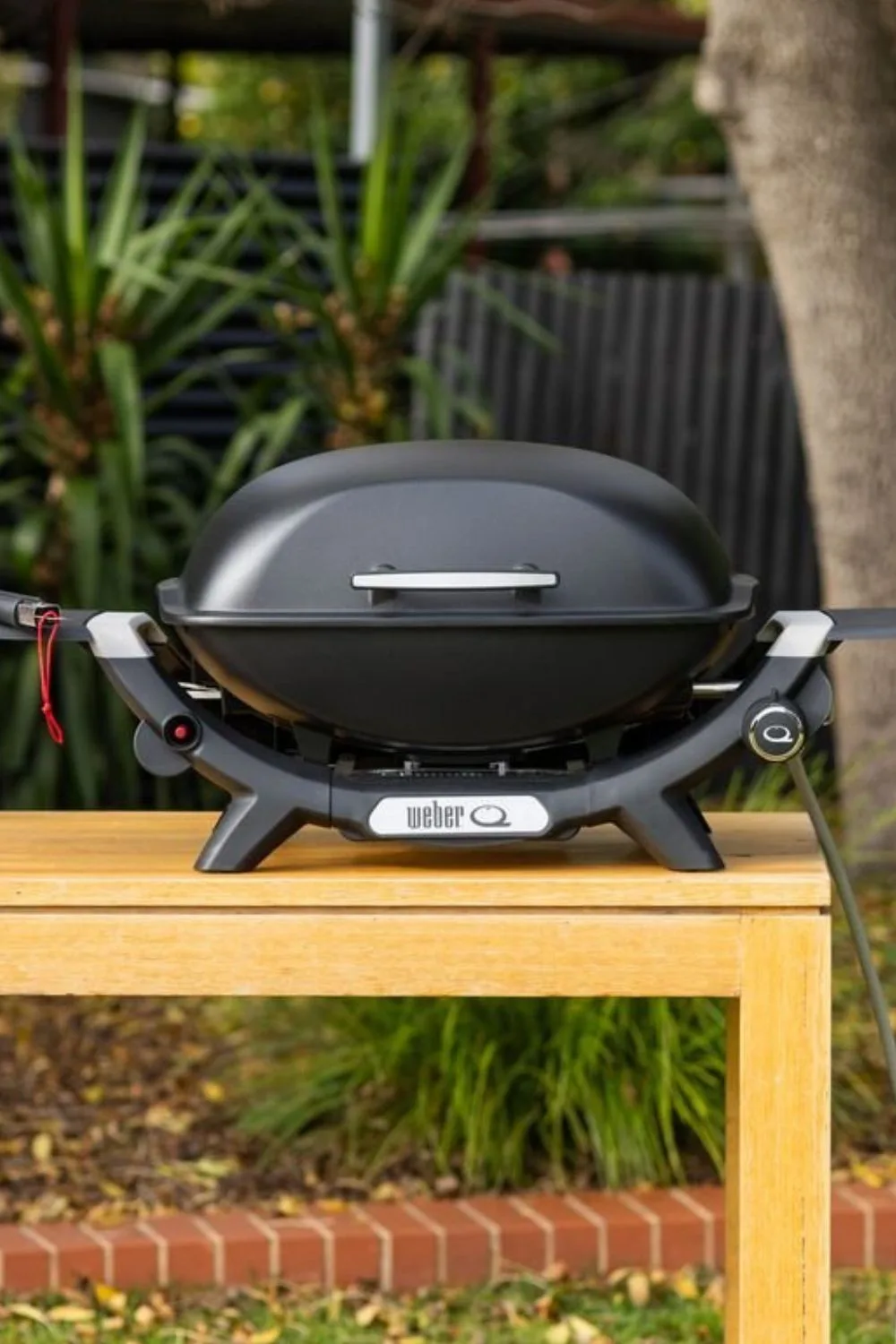 weber bbq