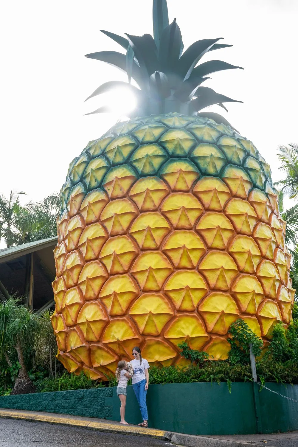 THe Big Pineapple tourist attraction Sunshine Coast QLD
