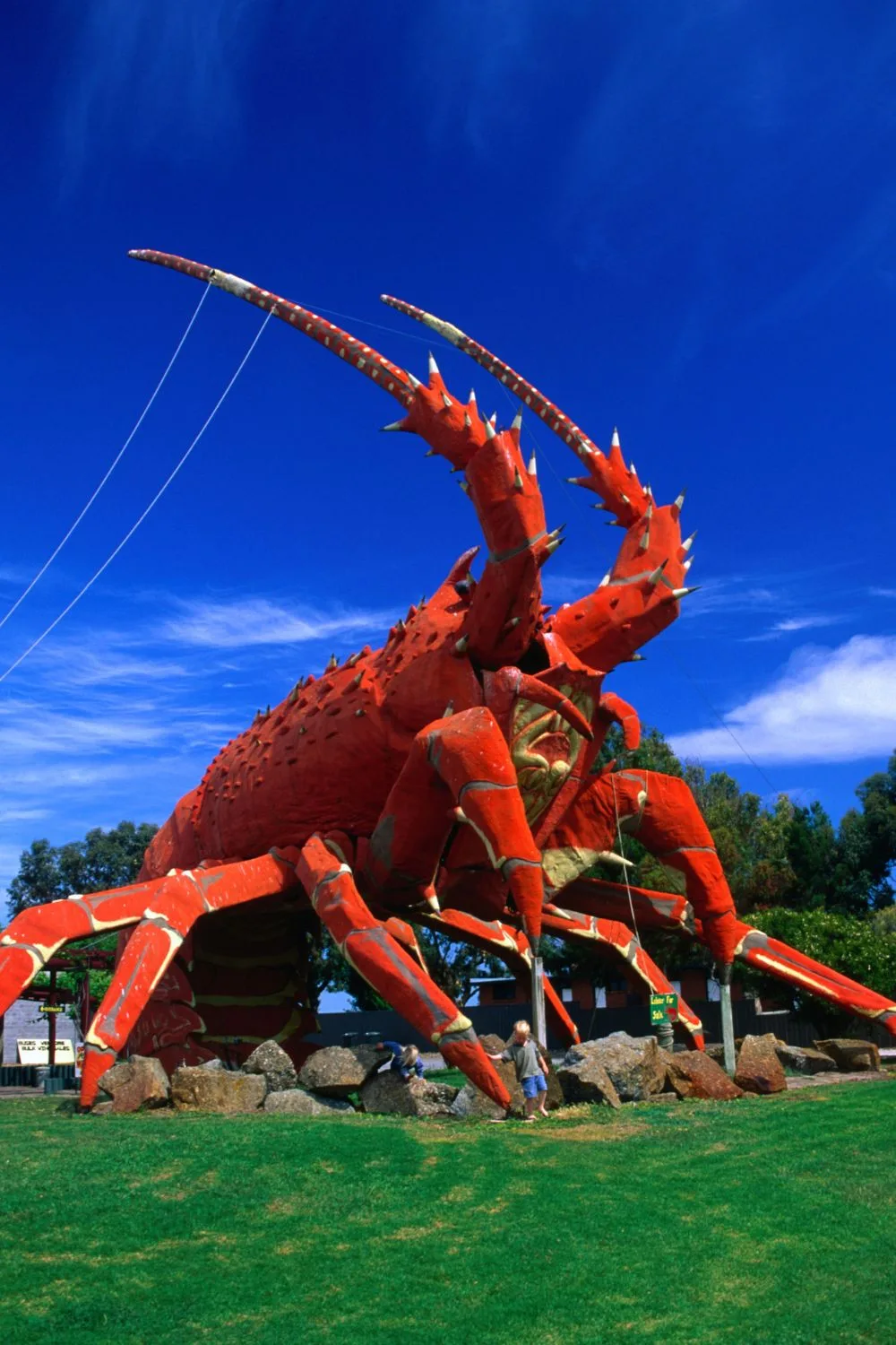 The Big Lobster tourist attraction South Australia