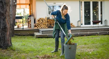 Preparing for bushfire season: How to fireproof your garden
