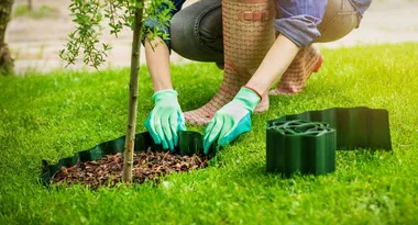 Volcano mulching: the technique that could be killing your trees!