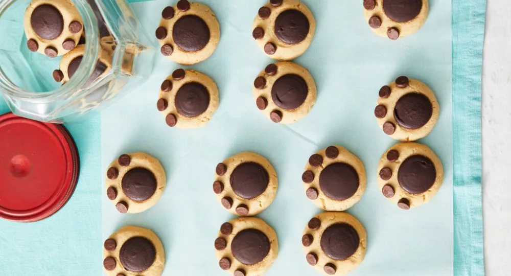 You'll go barking mad for this Paw Cookie recipe Recipe | New Idea