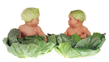 EXCLUSIVE: Photographer Anne Geddes reveals “I still keep in touch with my babies”