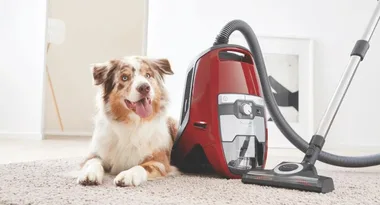 7 bagless vacuum cleaners that’ll simplify your cleaning routine (and your life)