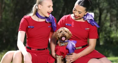 Virgin to become first Australian airline to let pets fly in cabin
