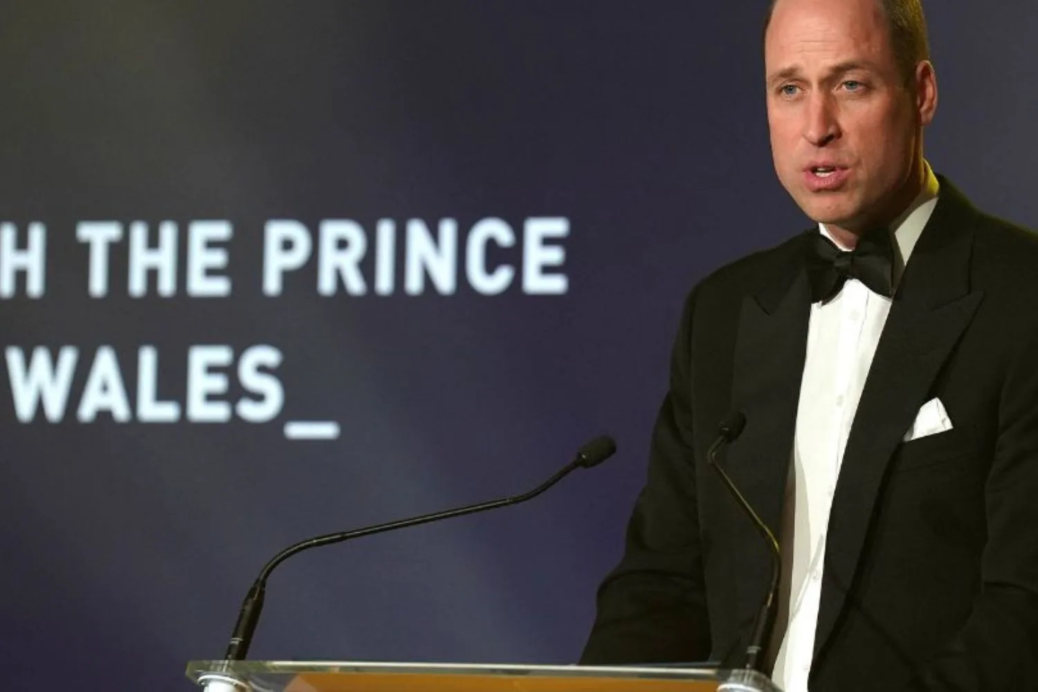 prince-william-princess-diana-tribute