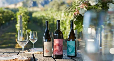 The best wine subscriptions, clubs and boxes to shop in Australia