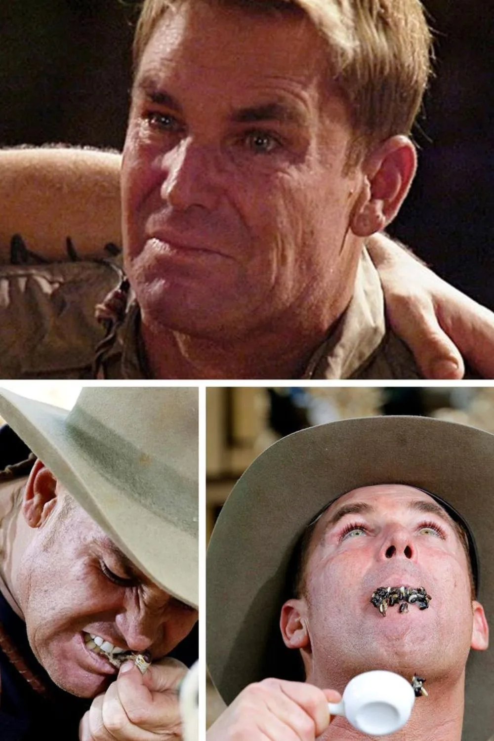 shane warne im a celeb