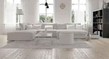 The best upholstery steam cleaners to bring back that sparkle to your home STAT!