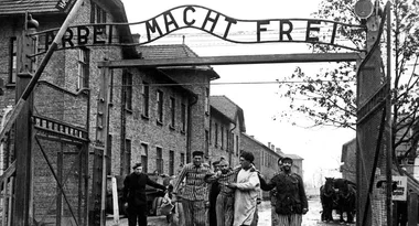 The shocking true story behind The Tattooist of Auschwitz