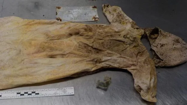 only remains found