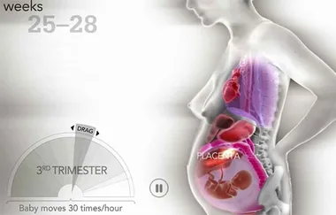 How pregnancy changes a woman’s body