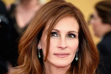 Julia Roberts divorce shock