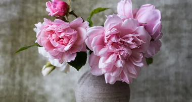 How to keep your flowers fresher for longer