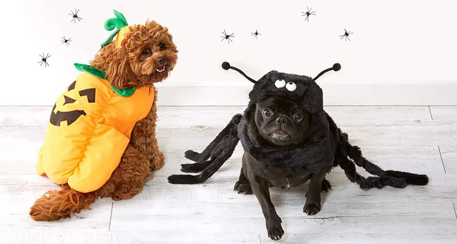 Kmart s adorable Halloween pet costumes are driving everyone wild New Idea