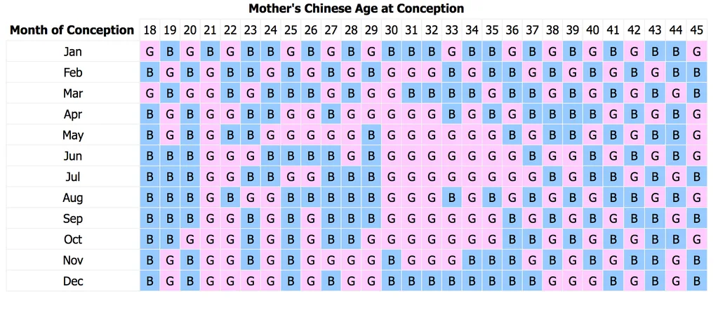 pregnancy chart