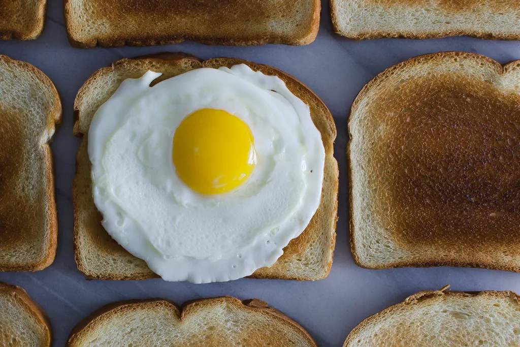 egg