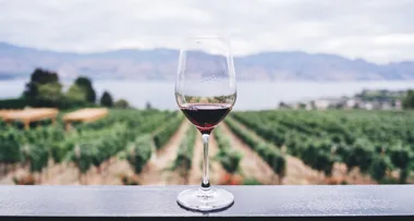 Awful news for wine fans