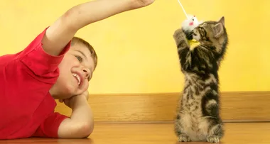 Why cats could be the key to beating asthma