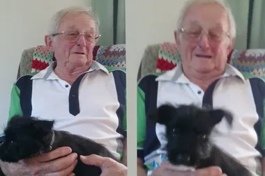 The heartwarming moment a grandson gifts his grandfather a puppy