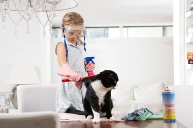 Are you allergic to your pet?