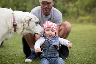 Do pets and young kids mix?